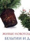 Живые новогодние елки