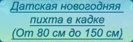Пихты в кадке - текст