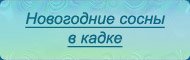 Сосны в кадке - текст