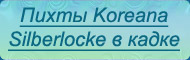  Koreana silberlocke   - 