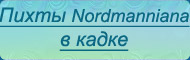  Normanniana   - 