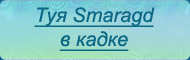  Smaragd  